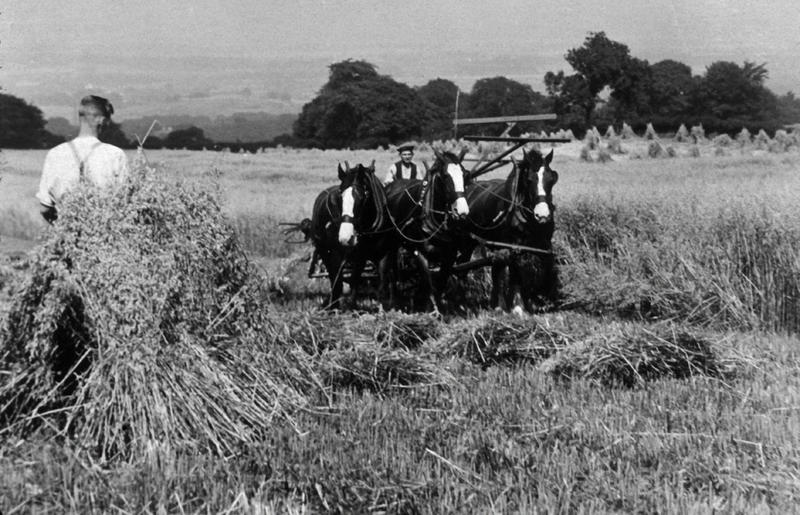 "Harvesting, Standalane Farm" Falkirk Council