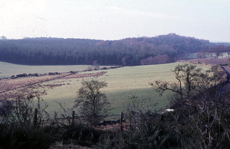 View of fields at Lochgreen Falkirk Community Trust