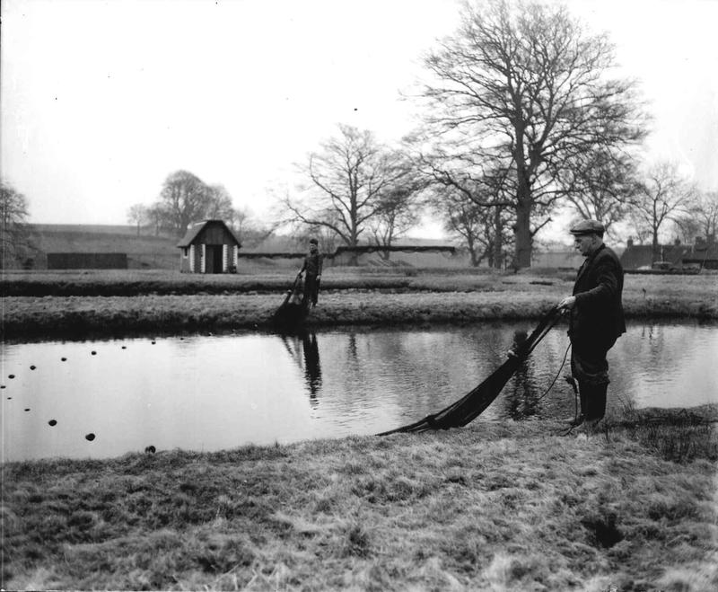 Fish hatchery Falkirk Council