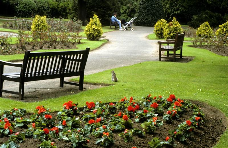 Dollar Park area planted with seats nearby Falkirk Council