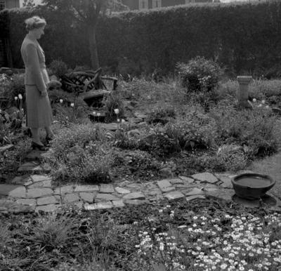 P37876; Sheona Munn, Garden, Jackson Avenue, Grangemouth