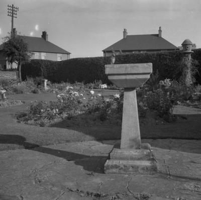 P37867; Bird bath, Garden, Jackson Avenue, Grangemouth