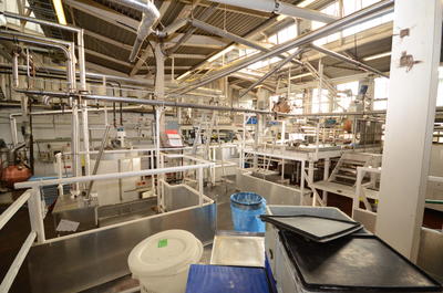 P43843; Boiling Shop in McCowan's Factory, Stenhousemuir