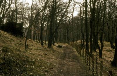 Upper Carron Valley - Fankerton Right of Way (MSC project)