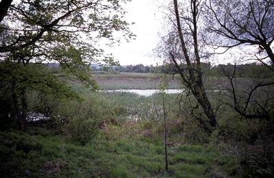 Carron Dams