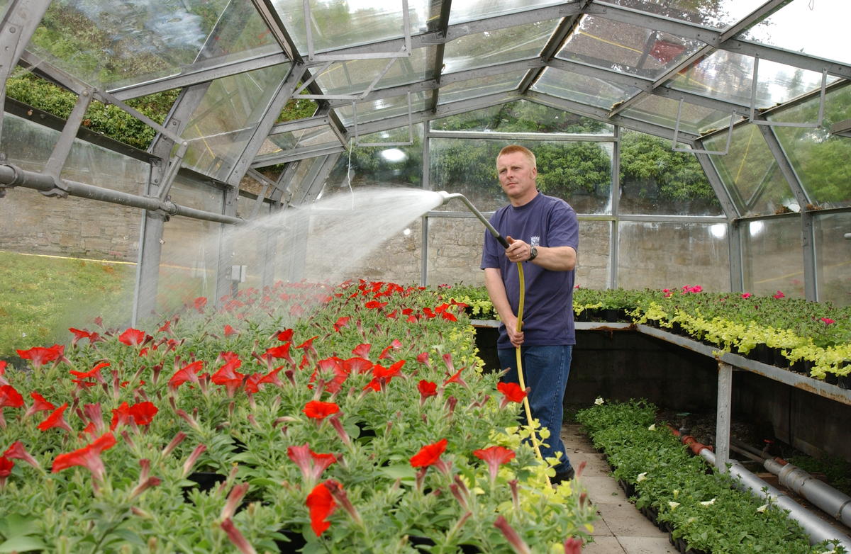Kinneil plant nursery Falkirk Council