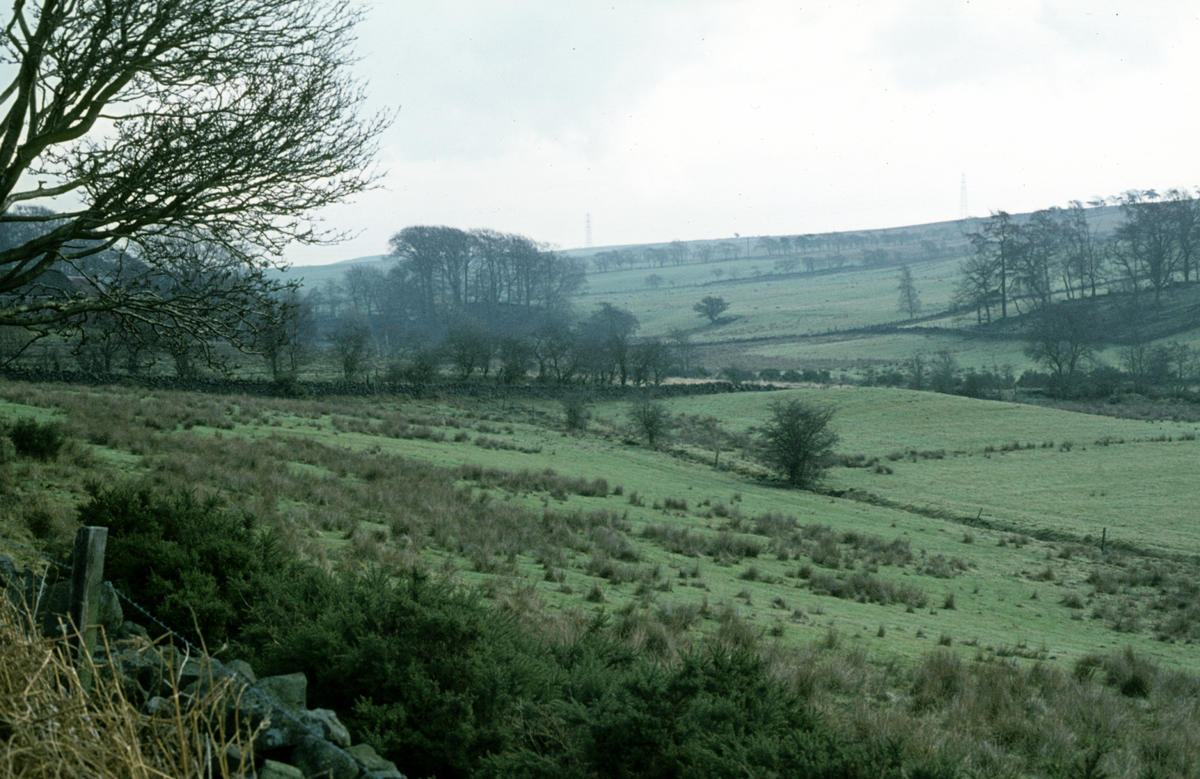 View of fields at Lochgreen Falkirk Council