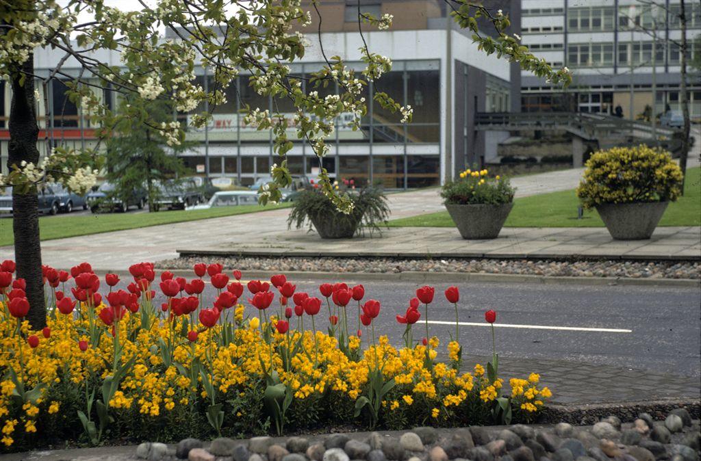 Municipal Buildings and Falkirk Town Hall Falkirk Council